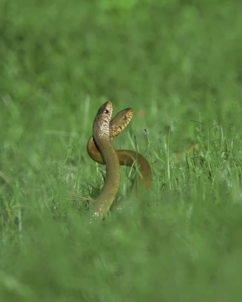 image5.jpg image5.jpg