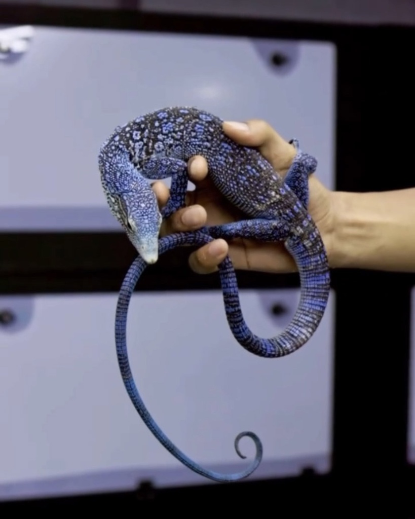 image7.jpg image7.jpg