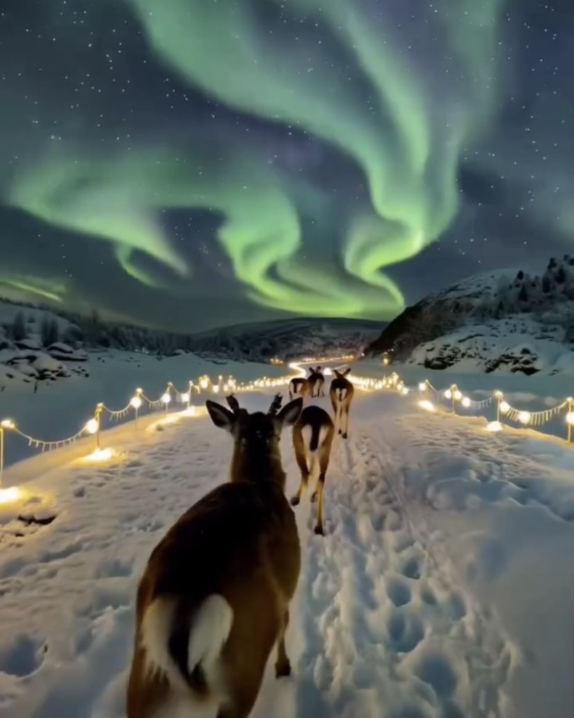 image4.jpg image4.jpg