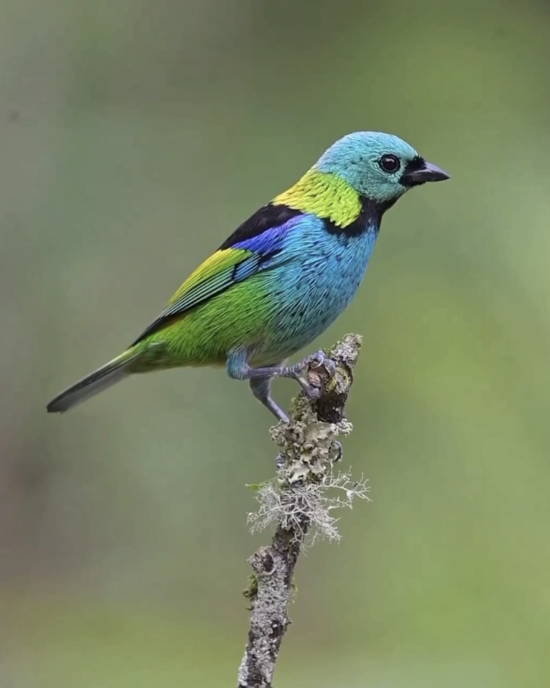 image5.jpg image5.jpg