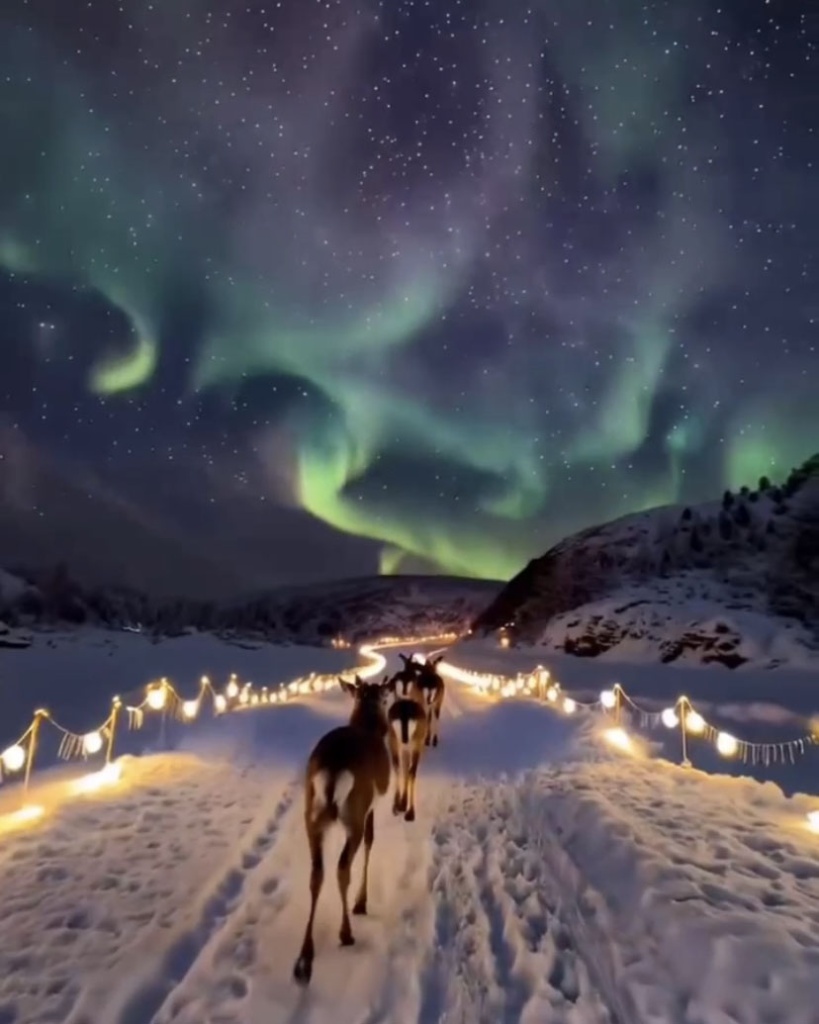 image1.jpg image1.jpg