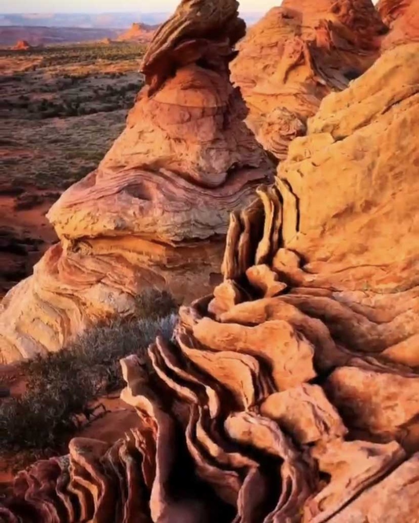 image6.jpg image6.jpg