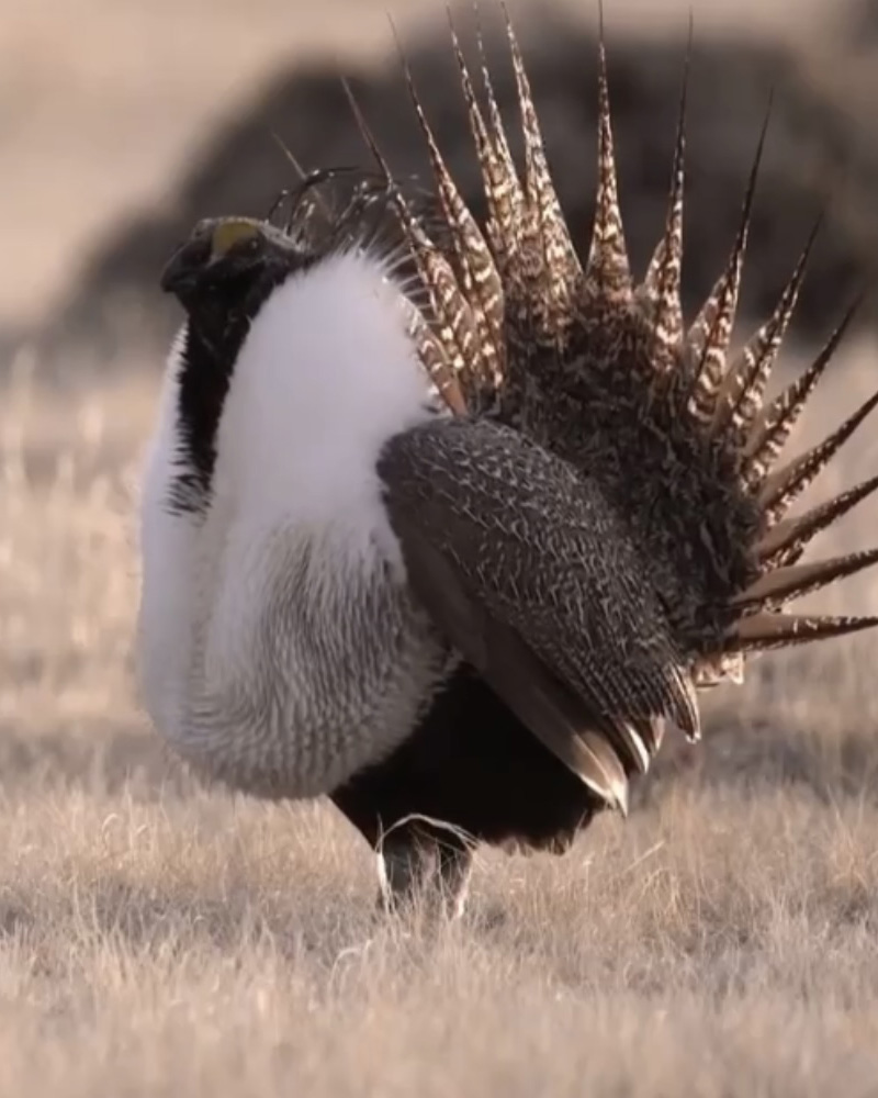 image1.jpg image1.jpg