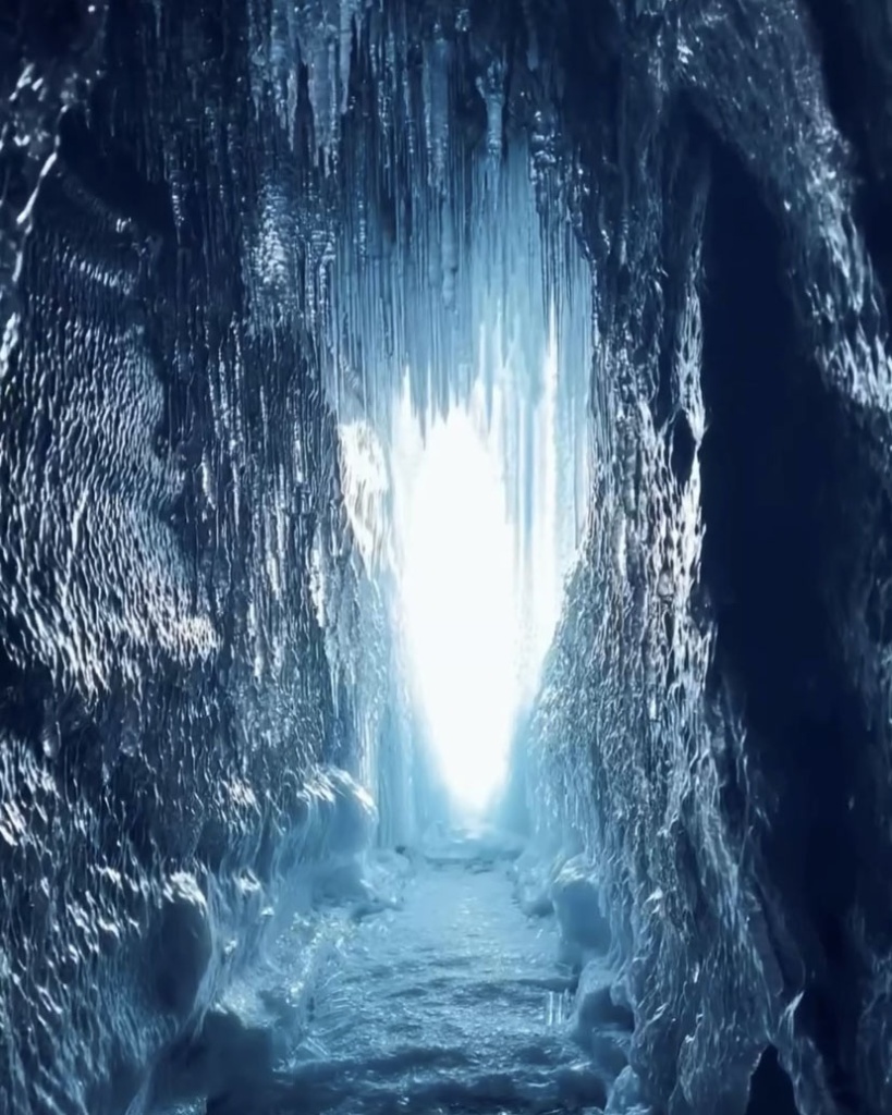 image9.jpg image9.jpg