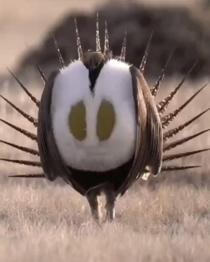 image4.jpg image4.jpg