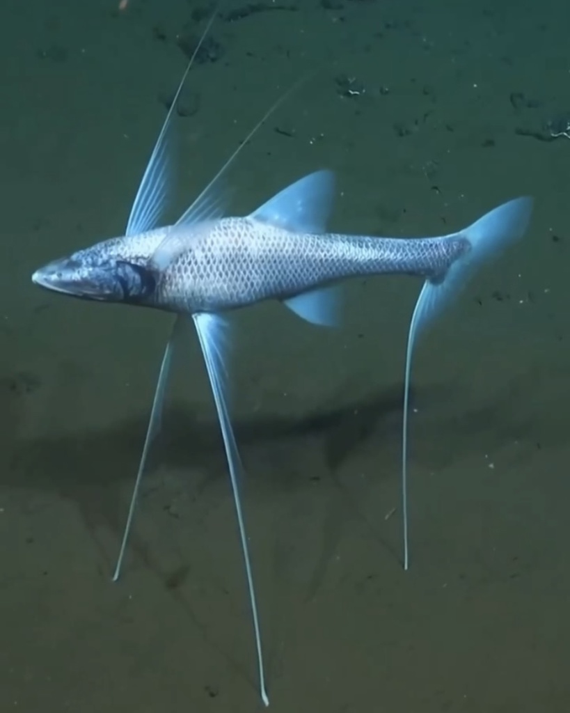 image1.jpg image1.jpg