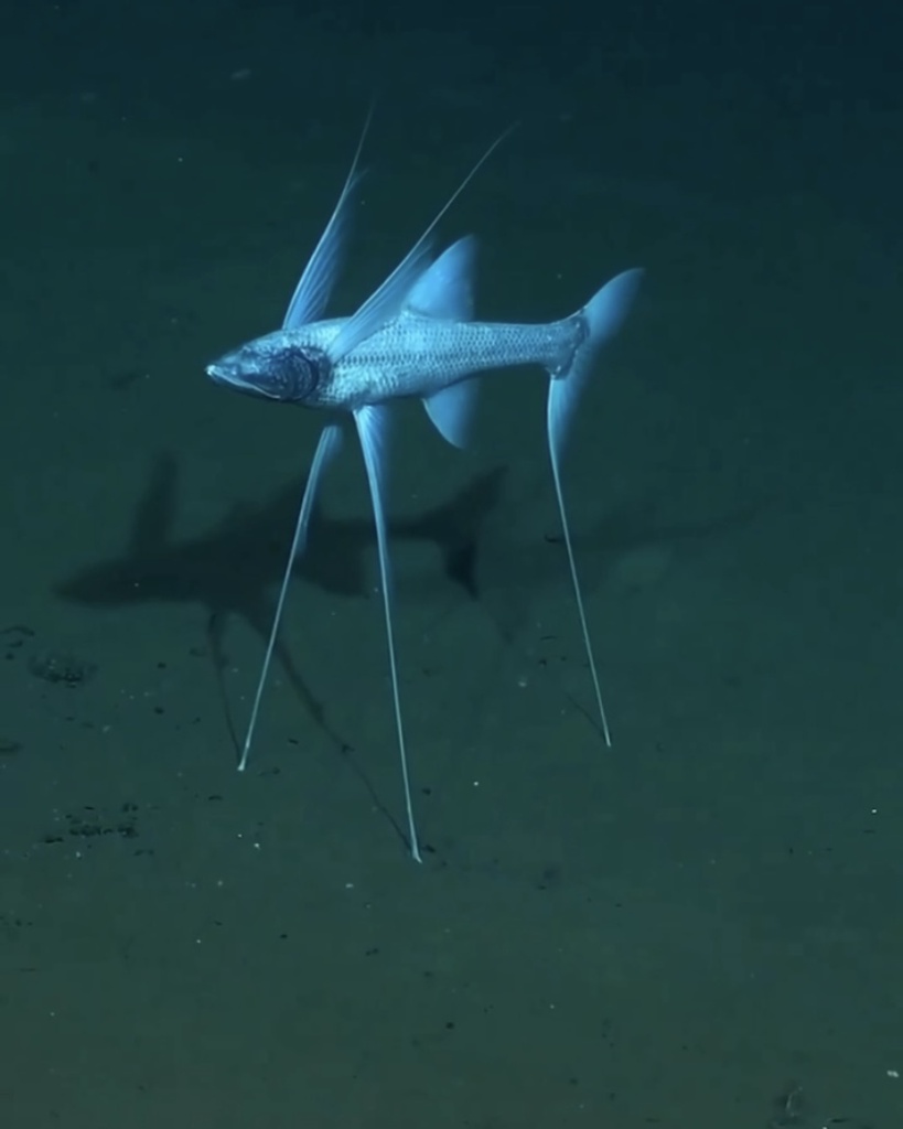 image2.jpg image2.jpg