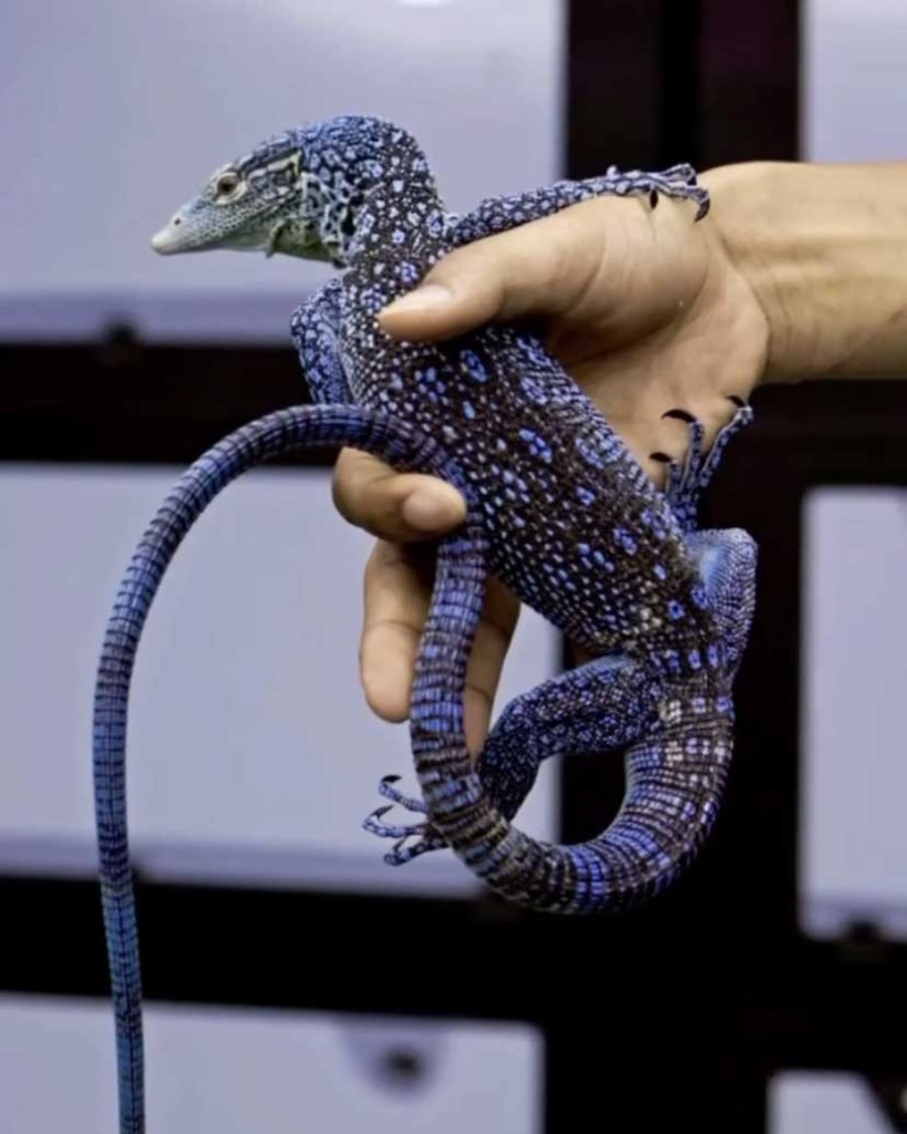 image1.jpg image1.jpg