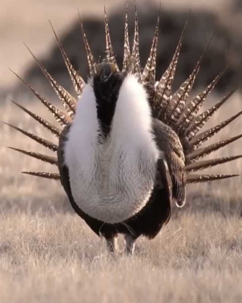 image7.jpg image7.jpg