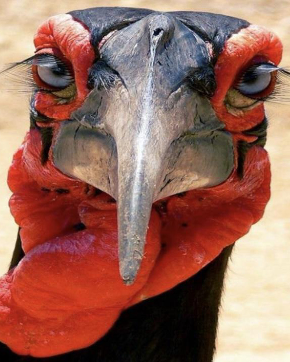 image2.jpg image2.jpg