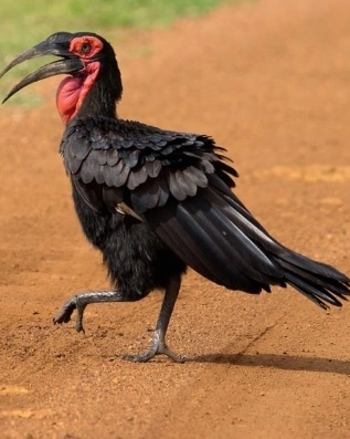 image3.png image3.png