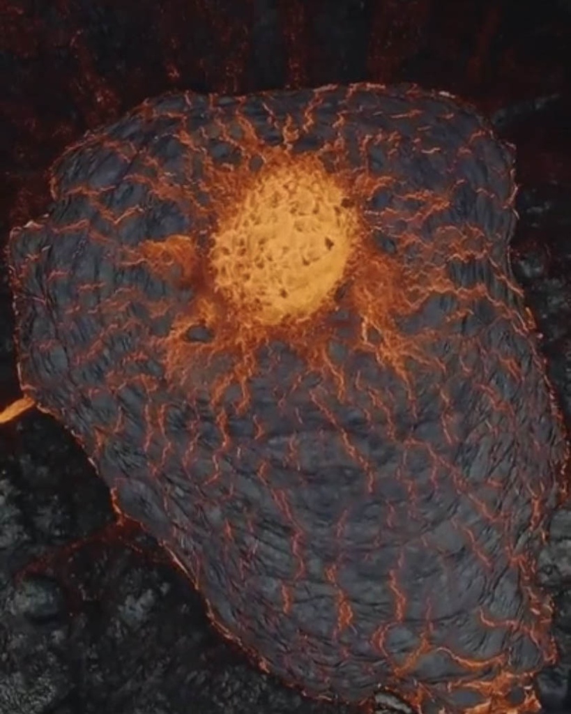 image7.jpg image7.jpg