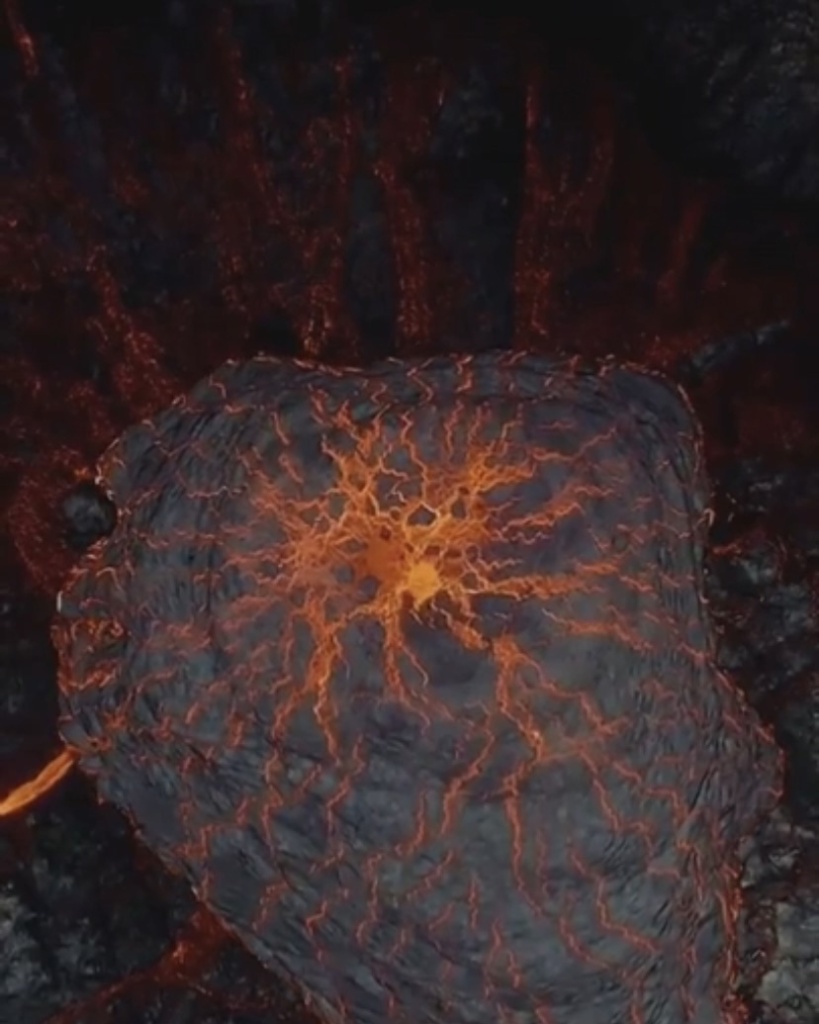 image4.jpg image4.jpg