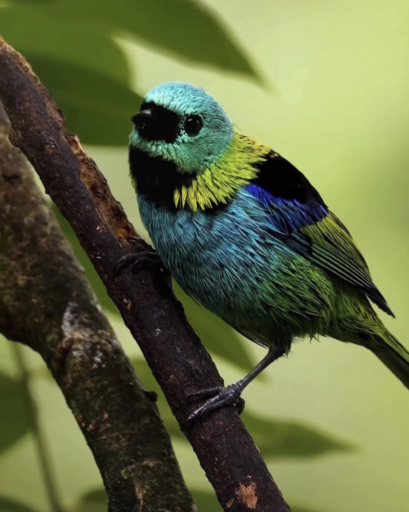 image2.jpg image2.jpg